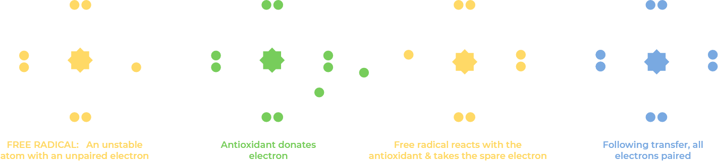 second image