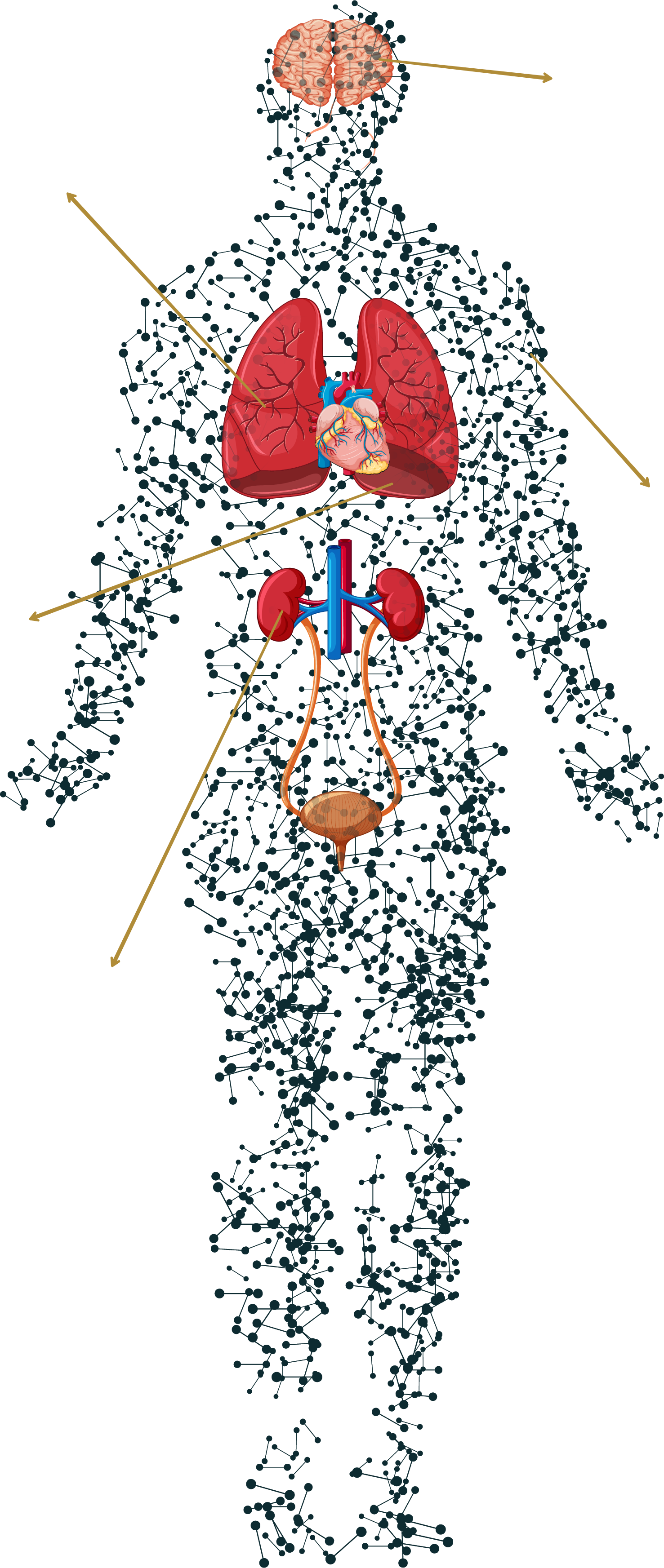 Molecule Graph